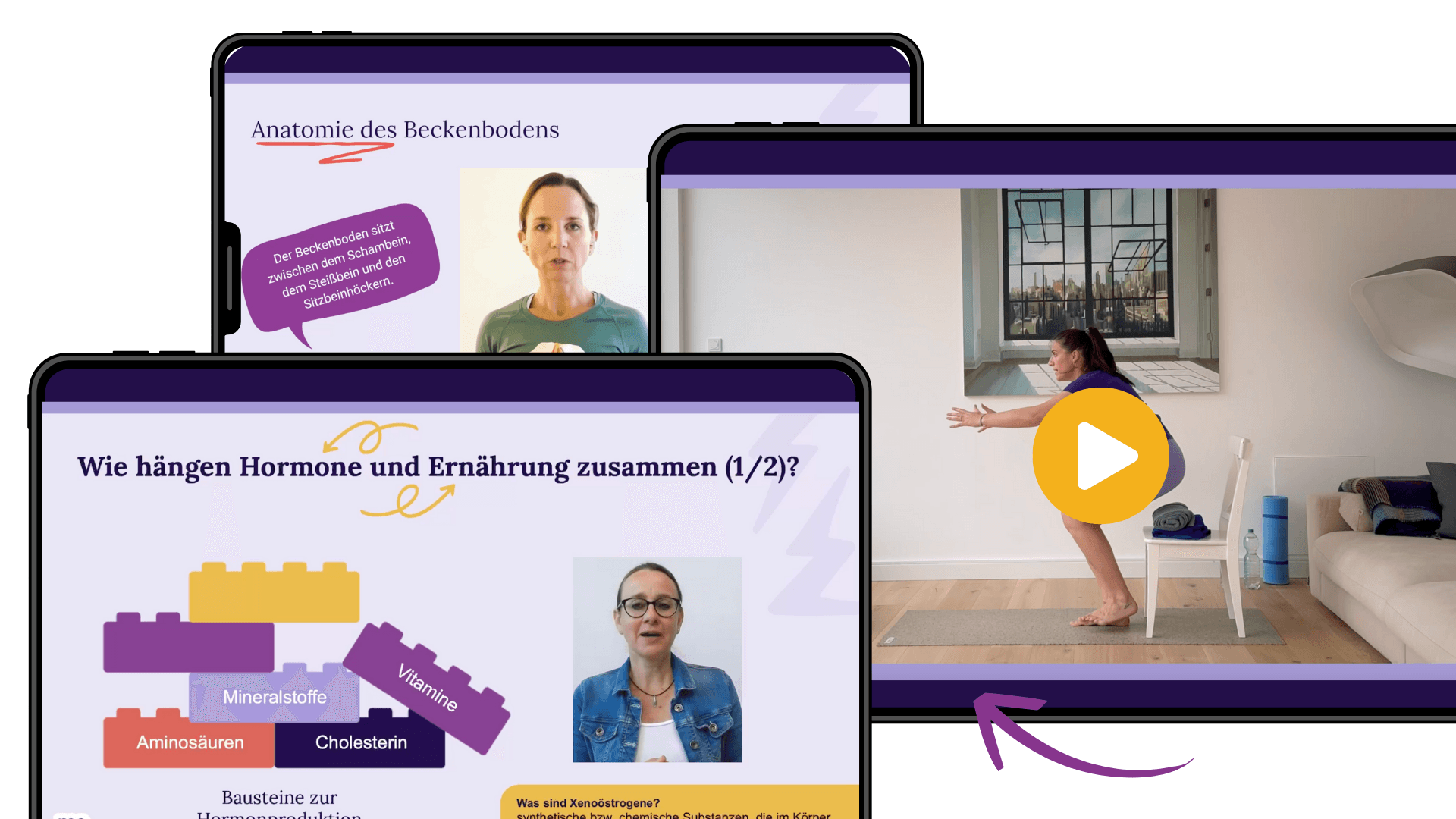 Program Overview