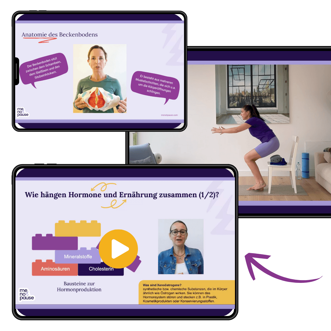 Program Overview