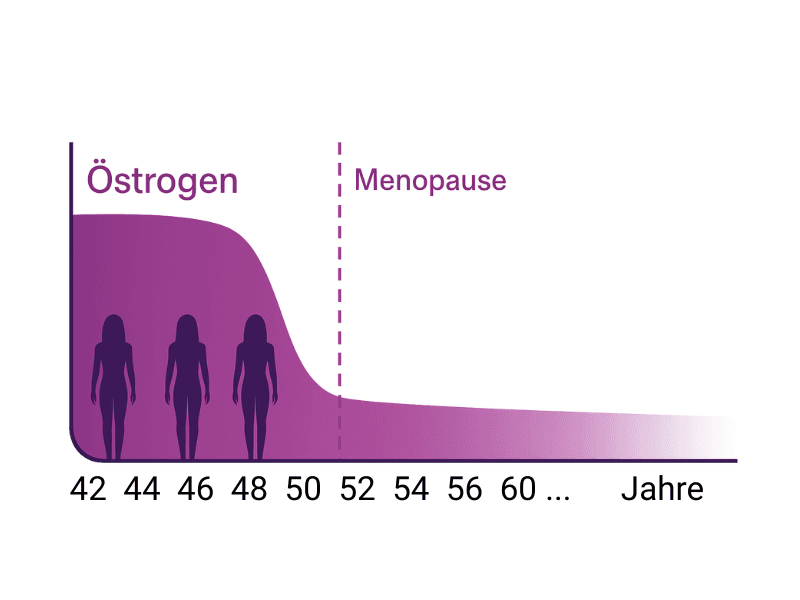 Visual section image