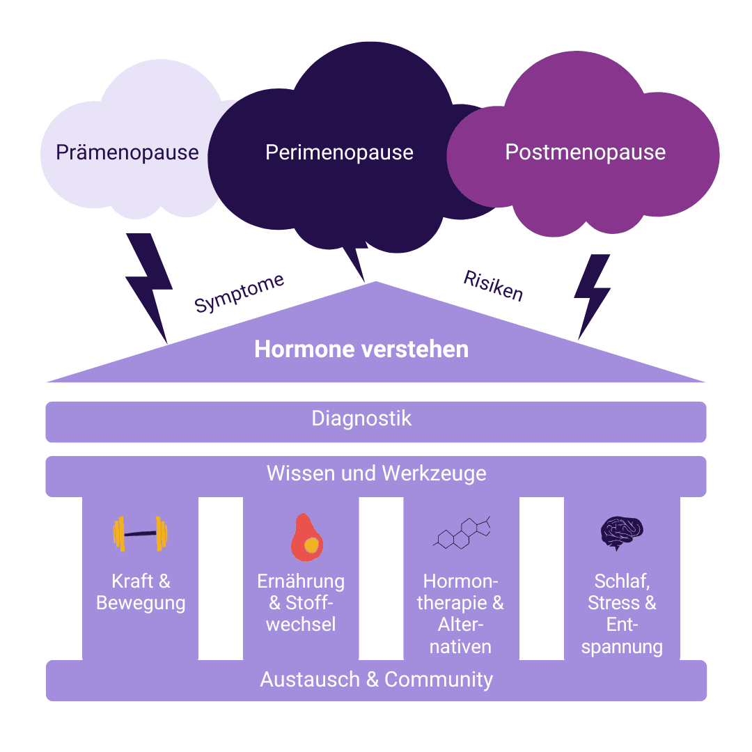 Die Säulen der gesunden Wechseljahre: Prämenopause, Perimenopause, Postmenopause mit Diagnostik und Wissen & Werkzeugen